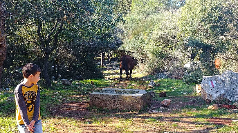 מסלול טיול באזור המוחרקה