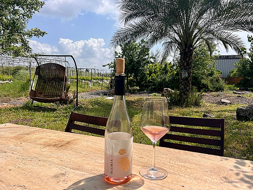 יקב סקוריה כנף רמת הגולן