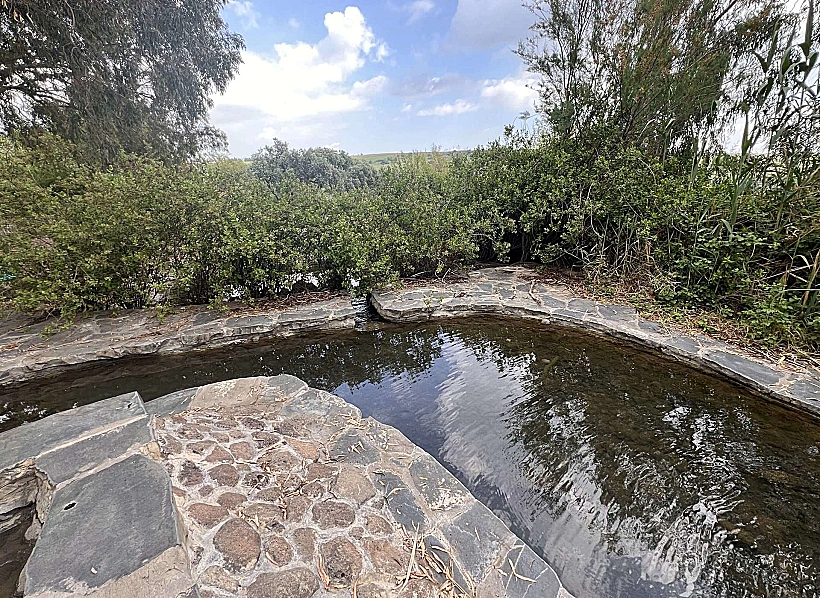 מעיין כנף רמת הגולן