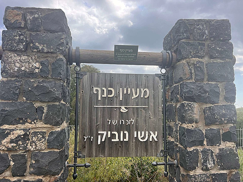 מעיין כנף רמת הגולן