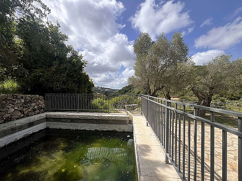 עין אל בלד – עוספיא