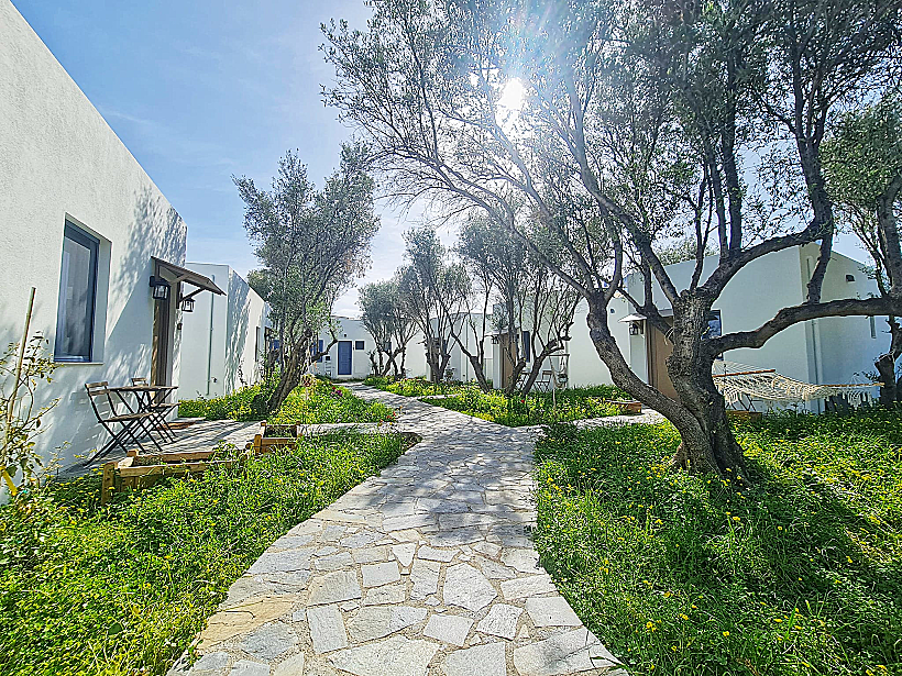 My home in Crete - מתחם של יחידות אירוח בסגנון כפר יווני