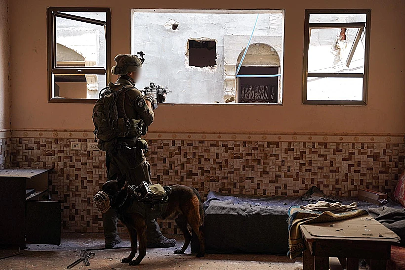 כוחות צה"ל במזרח רפיח