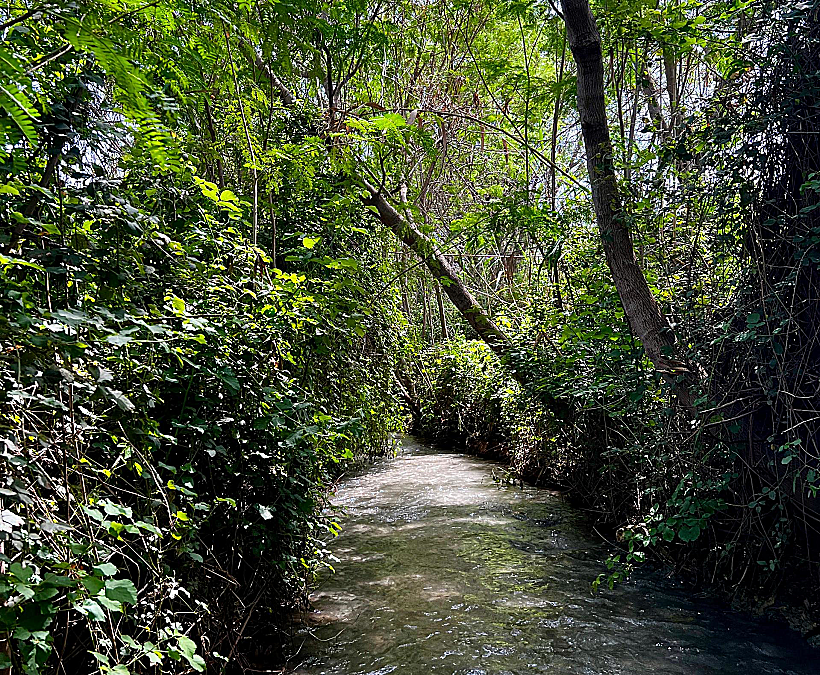 המסלול הרטוב