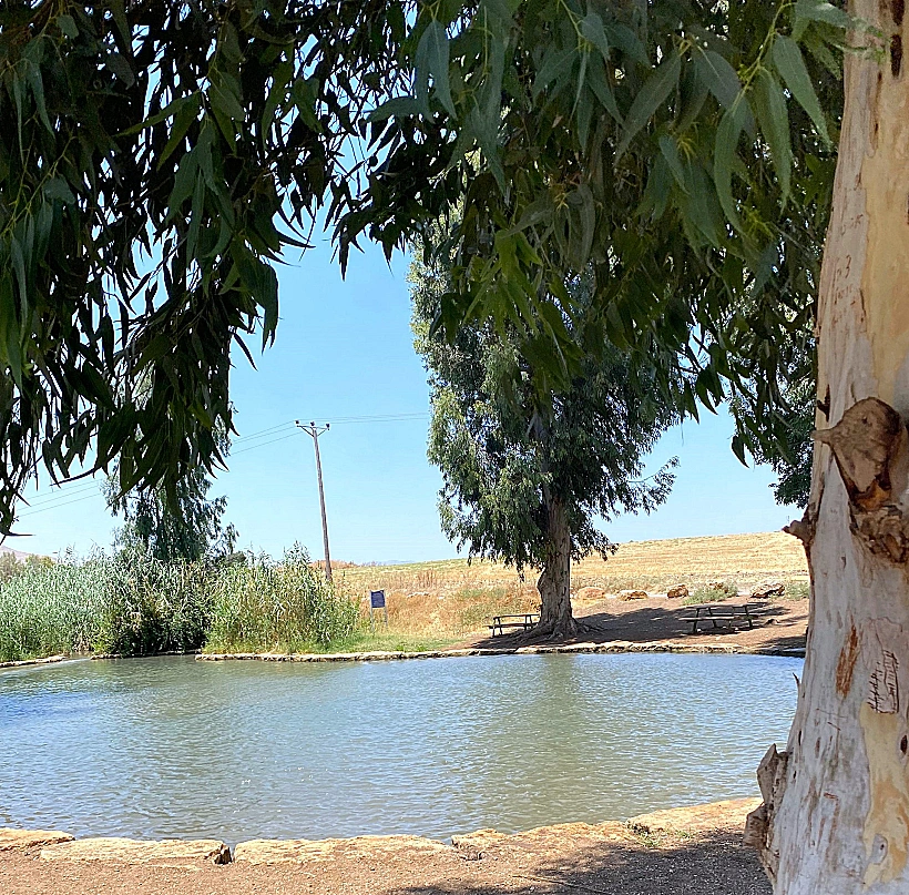 בריכת הטחנה