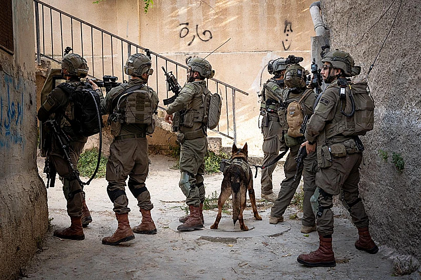 פעילות הכוחות בג'נין