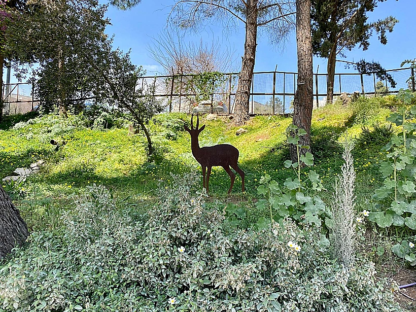 עמק הצבאים ירושלים