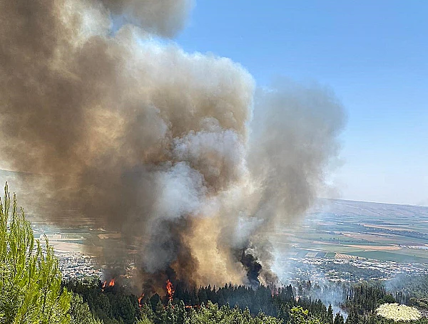 גבול הצפון גליל השריפות ברכס רמים