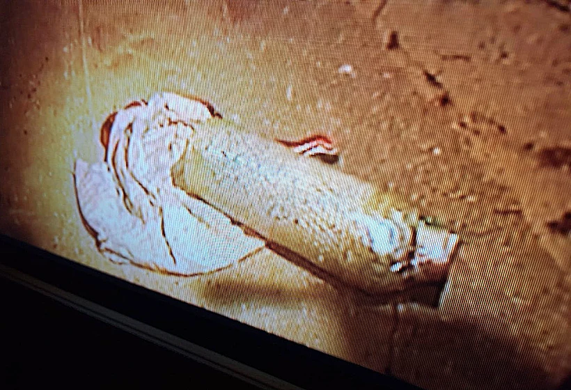 Whatsapp Image 2024 06 03 At 1