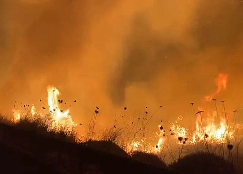 שריפות בגבול הצפון