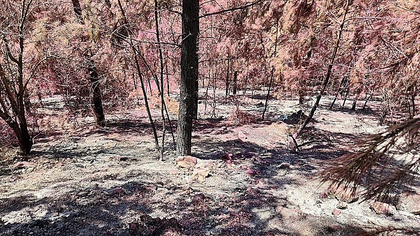 אזורים שהתכלו בשריפות סמוך לקריית שמונה