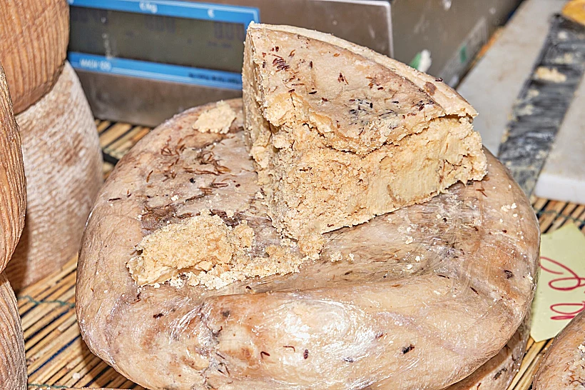 Casu,marzu,,sardinian,cheese,with,larvae,of,piophila,casei