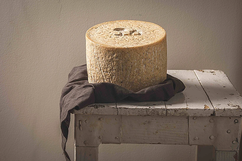 גבינת מעיין חרוד של שירת רועים