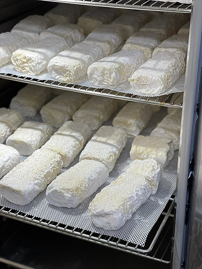 גבינות של משק הר פרחים