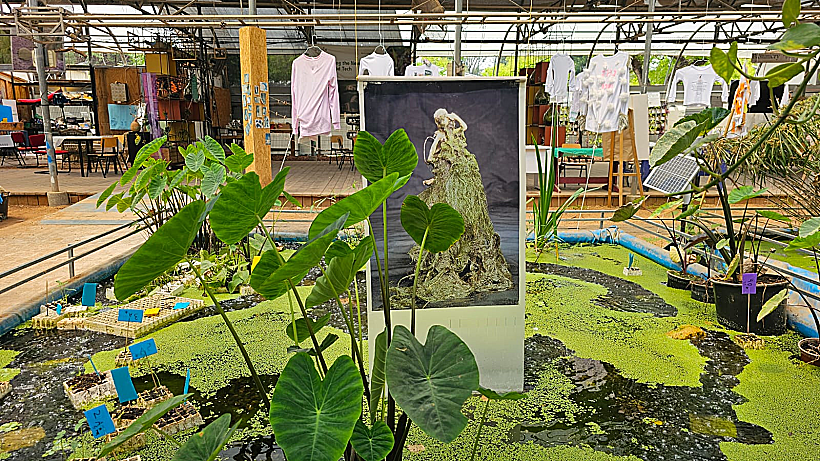 החממה האקולוגית בעין שמר