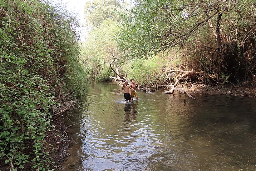 משתכשכים במג'רסה