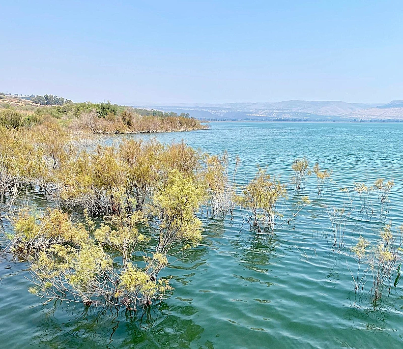 אגם מעלה השחר