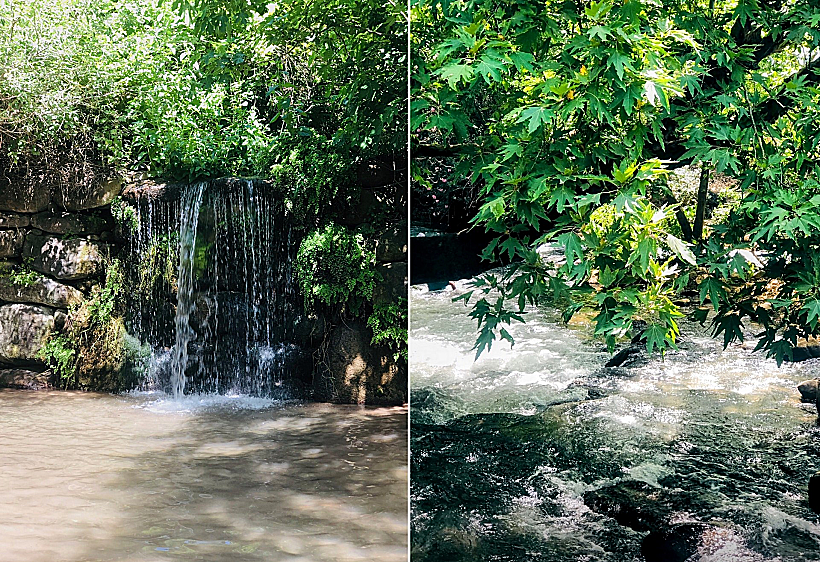 שמורת נחל שניר