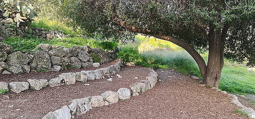 פארק עצמאות ארה"ב