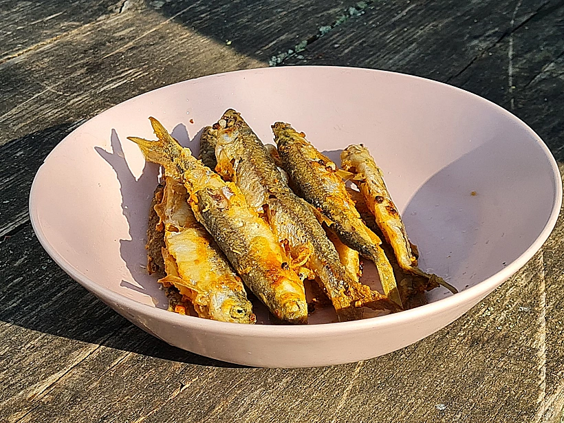 ארוחת דגים מולטאי ליטא