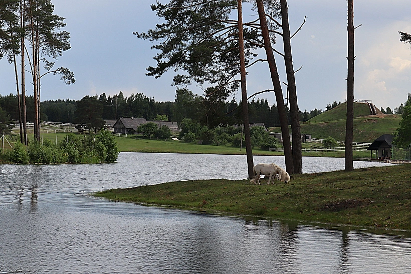 חוות הסוסים Dubingai Stud בליטא