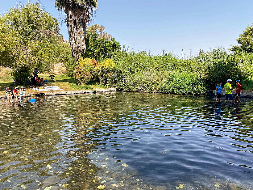 עין נון, מגדל