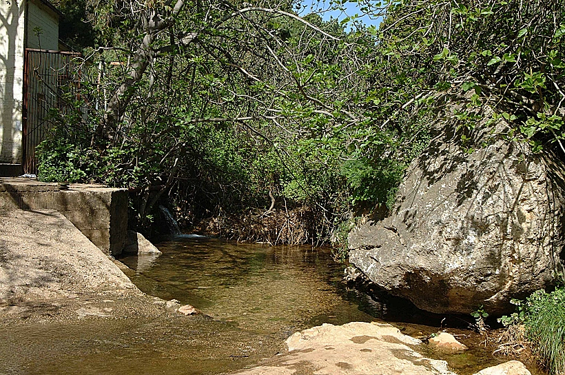 בריכת מים בנחל עמוד