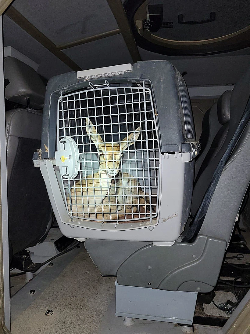 פעילות צה"ל ביהודה ושומרון