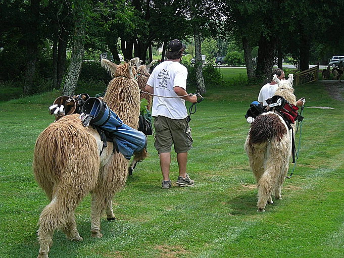 Sherwood Forest Golf Club
