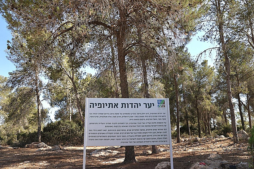 יער יהדות אתיופיה