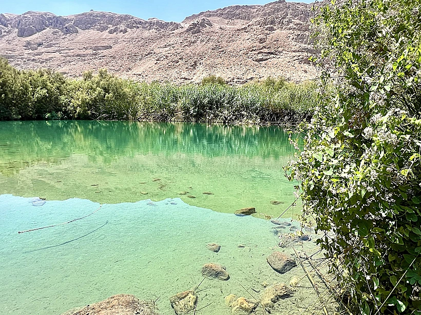 השמורה החבויה בעינות צוקים