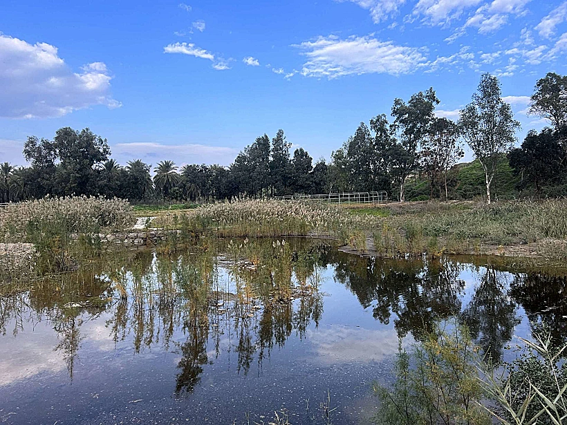 בריכות הדגים של המושבה כנרת