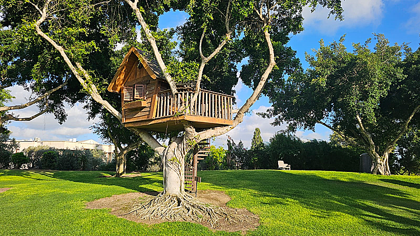 בית על העץ בדן קיסריה ריזורט