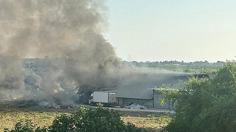הנפילות באזור שלומי