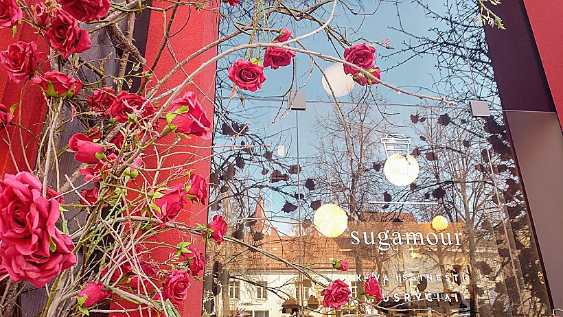 בית קפה אינסטגרמרי בוילנה