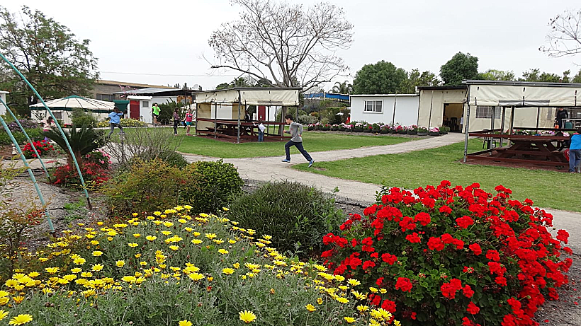 ג'ינג'יסחאן בגולן