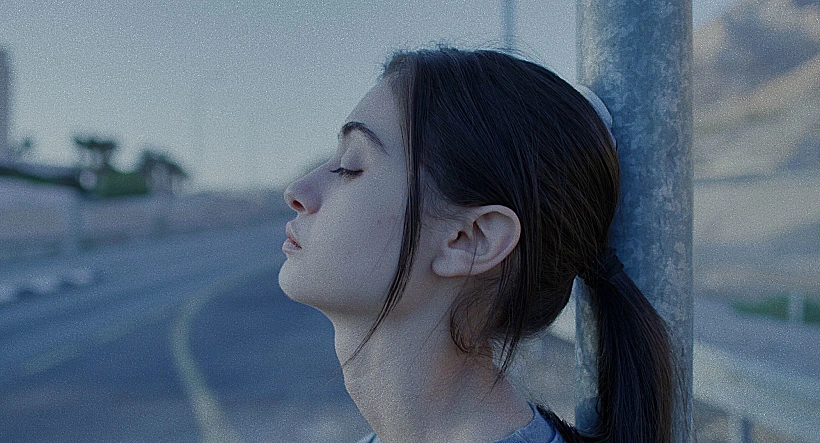 "על כלבים ואנשים"