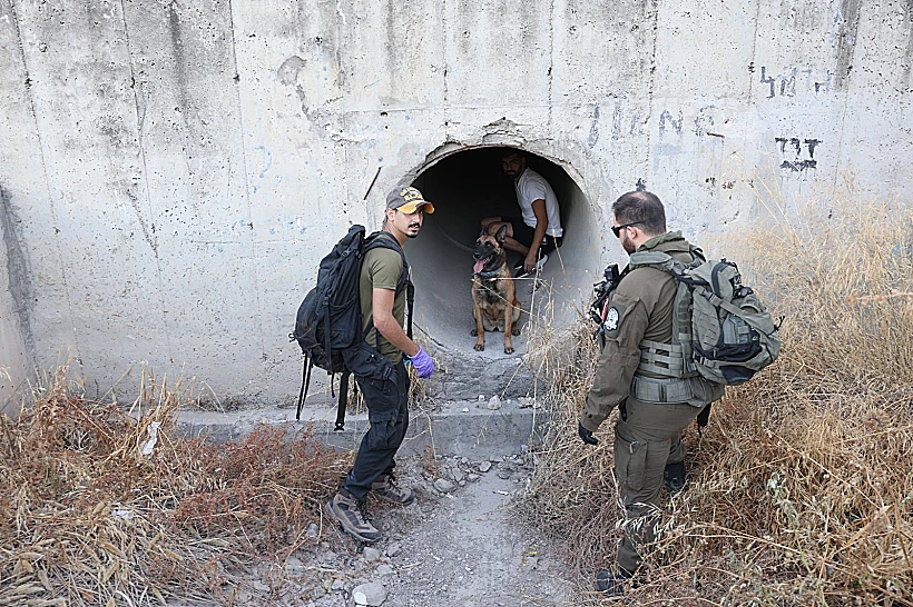 חיפושים אחר היימנוט קסאו