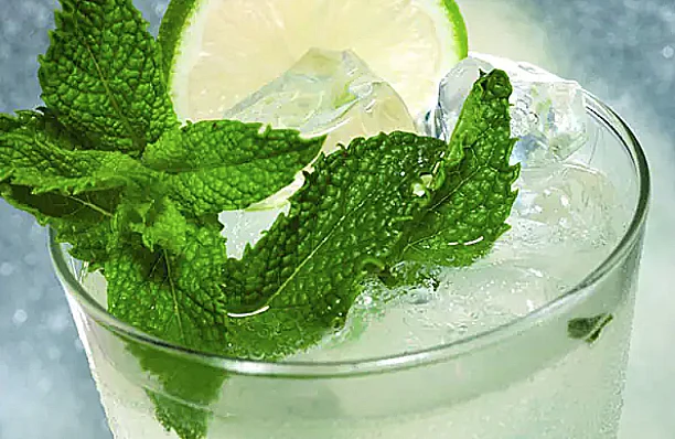 קוקטייל הזוהר הצפוני