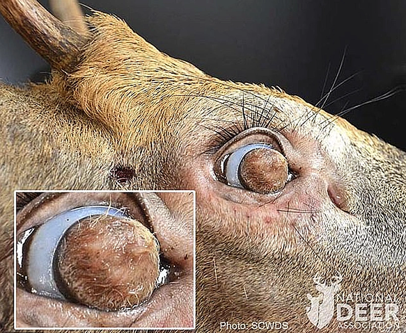 Screenshot 2024 08 17 At 19.18