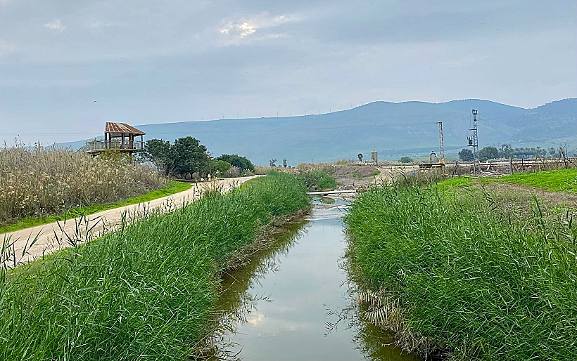 נחל עמל קדום