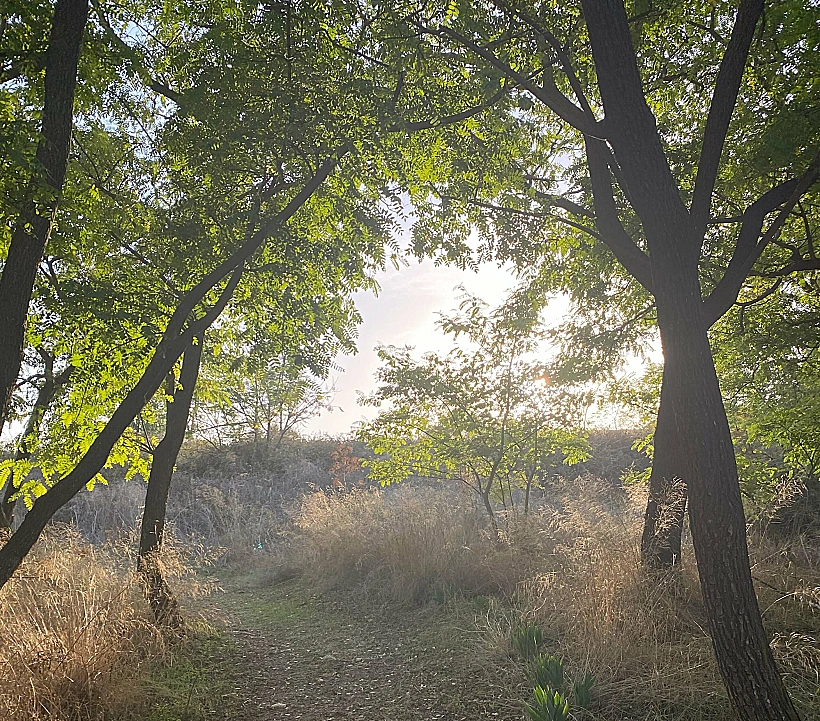 שביל החצבים בתל אפק