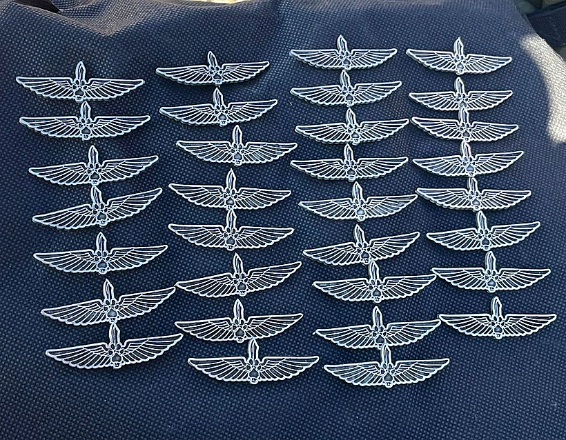 סיכות יחידת פלס"ר הגולן