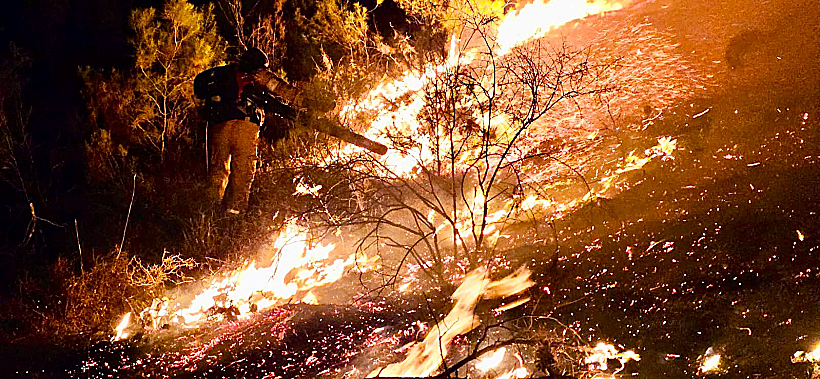 שריפה באזור ביריה
