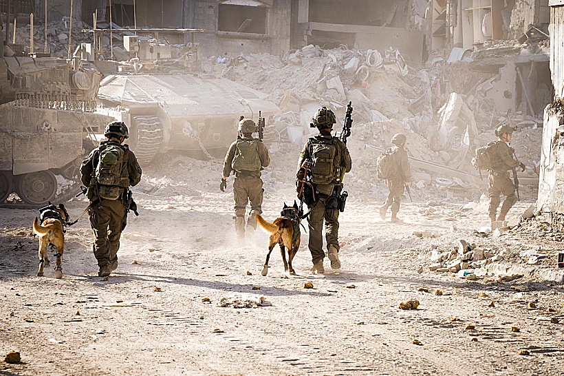 פעילות כוחות צה"ל ברפיח