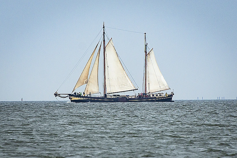האי טסל (Texel) בהולנד