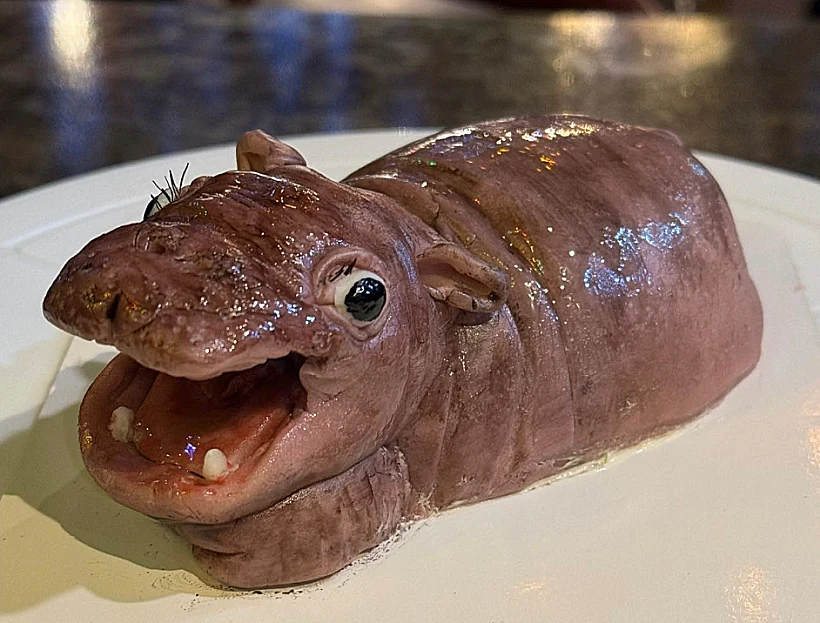 Hippo Cake 1