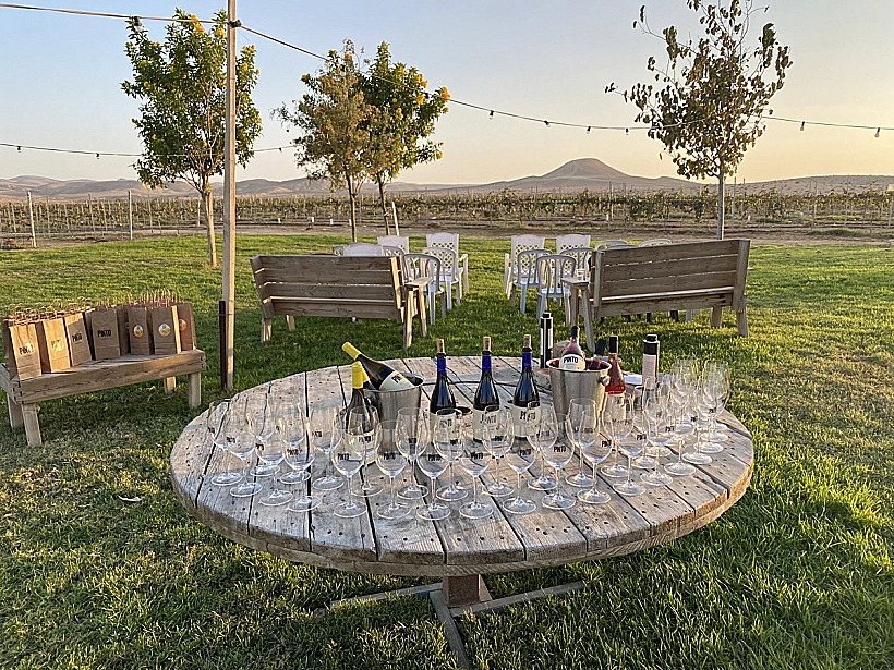 כרם ירוחם ויקב פינטו