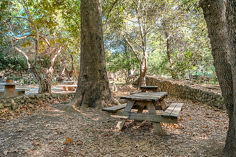 סתיו בגן לאומי עין חמד