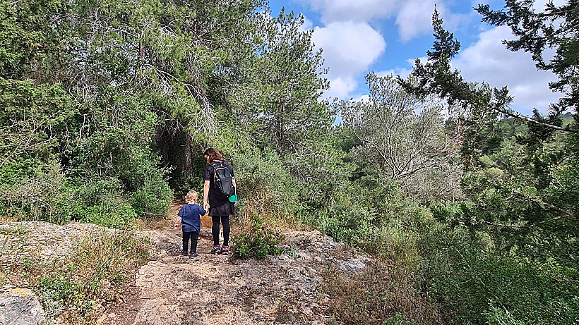 שביל היער הקסום ביער עופר